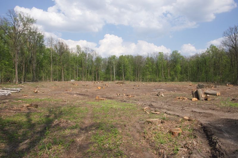 Acreage Clearing in Katy, TX