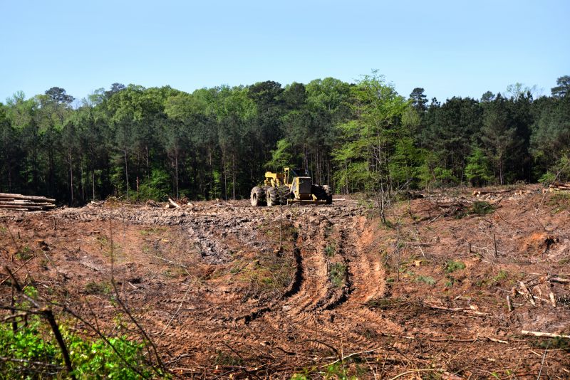 Slope Clearing in Houston, TX